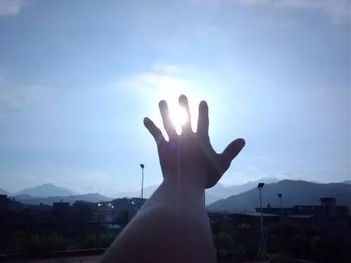 3298